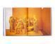 Книги о фотографах Сэнди Скогланд Sandy Skoglund: Hybrid Visions подарочная книга для фотографов о фотографии B-497 фото 7
