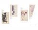 Книга живопись Амедео Модильяни Modigliani: Modern Gazes книги для искусствоведов художников PFA-165 фото 4