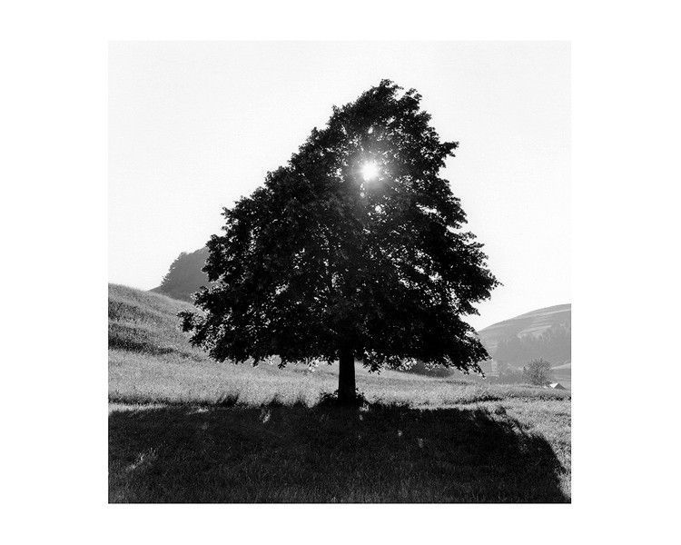 Книга Claude Batho, photographe B-295 фото