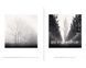 Книга Michael Kenna: Trees / Arbres (Signed) B-398 фото 5
