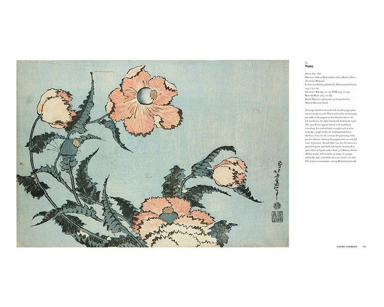 Книга робіт японський художник Кацусіка Хокусай. Hokusai: beyond the Great Wave книги про мистецтво PFA-140 фото
