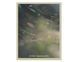 Книги для фотографов Rinko Kawauchi " As It Is " японские фотографы современности книга работ Ринко Каваучи B-759 фото 1