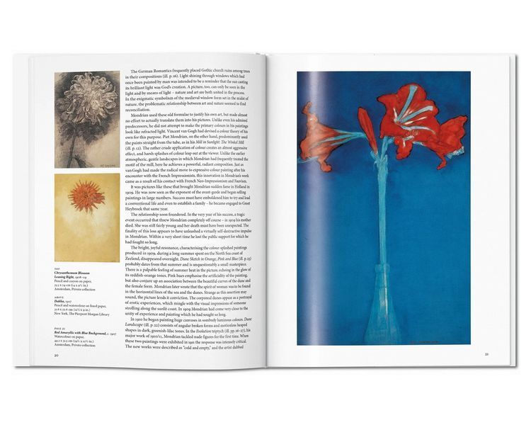 Книга Mondrian - Taschen PT-21 фото