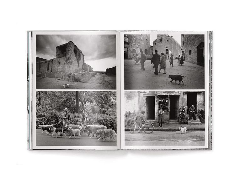 Работы известных фотографов книга Эллиотта Эрвитта с фотографиями собак Elliott Erwitt: Dogs (компактная) B-452 фото