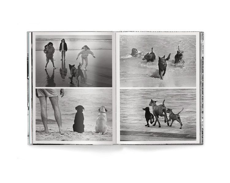 Работы известных фотографов книга Эллиотта Эрвитта с фотографиями собак Elliott Erwitt: Dogs (компактная) B-452 фото