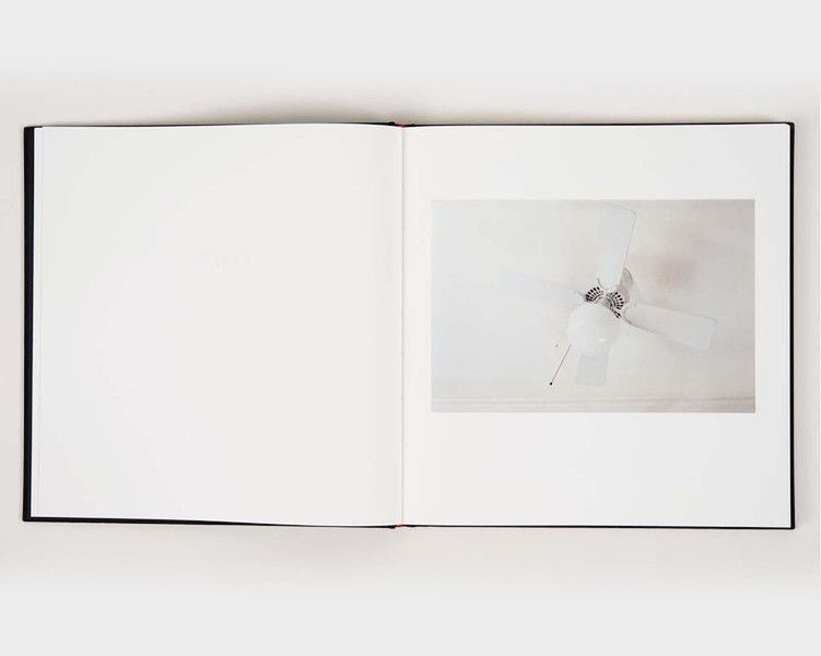 Книга William Eggleston: The Democratic Forest: Selected Works B-003 фото