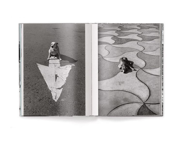 Работы известных фотографов книга Эллиотта Эрвитта с фотографиями собак Elliott Erwitt: Dogs (компактная) B-452 фото