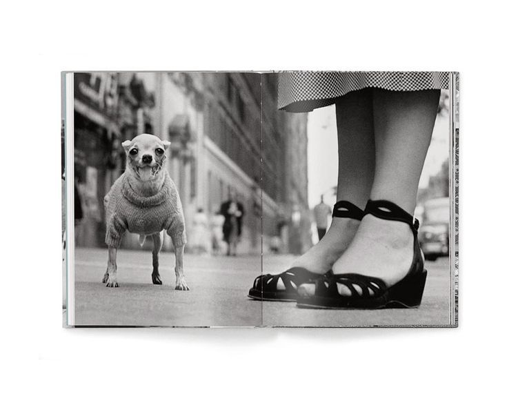 Работы известных фотографов книга Эллиотта Эрвитта с фотографиями собак Elliott Erwitt: Dogs (компактная) B-452 фото