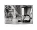 Работы известных фотографов книга Эллиотта Эрвитта с фотографиями собак Elliott Erwitt: Dogs (компактная) B-452 фото 9