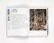 Найкращі фотографи світу книга Джоел Мейеровіц Joel Meyerowitz: Where I Find Myself: A Lifetime Retrospective B-004 фото 6
