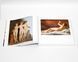 Книга 500 лет мастеров: Классическая живопись человеческого тела. 500 years classical masterpiece. Nude BA-34 фото 9