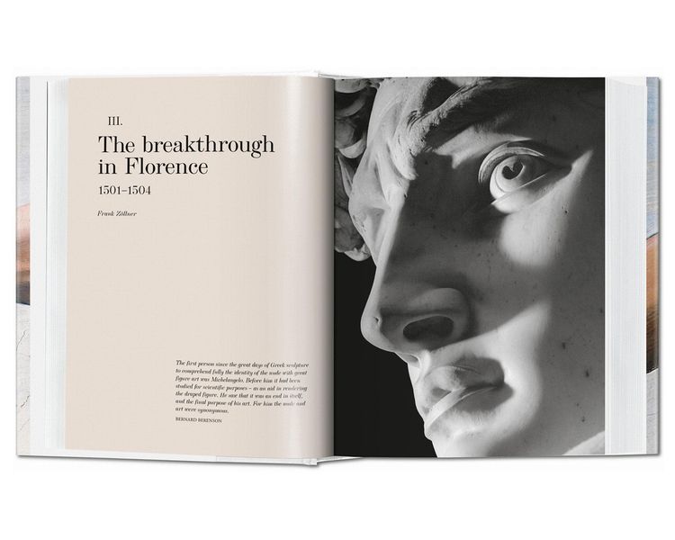 Книга Michelangelo: The Complete Works. PFA-38 фото