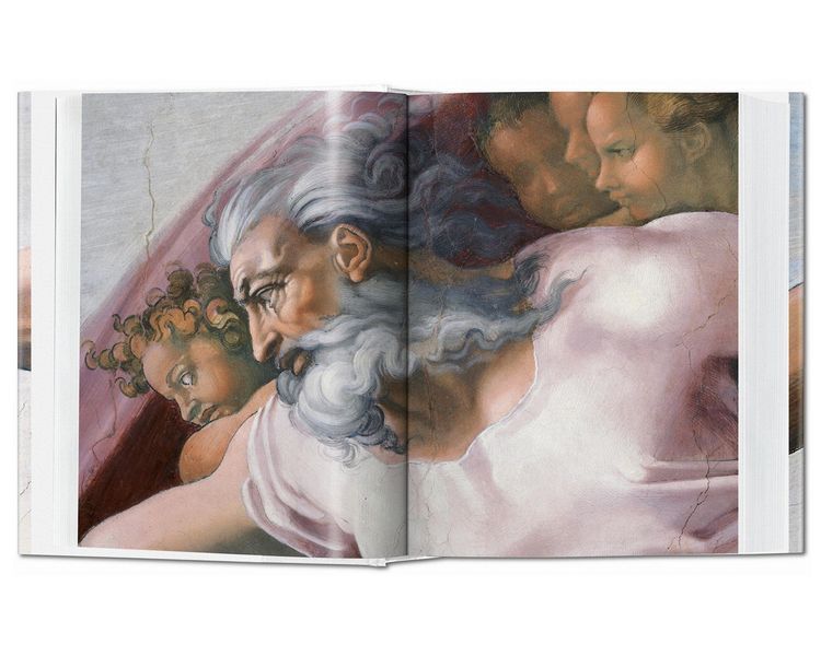 Книга Michelangelo: The Complete Works. PFA-38 фото