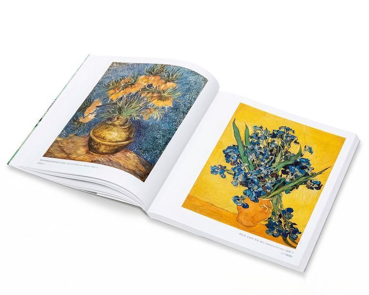 Книга альбом 500 років класичних шедеврів Кольоровий натюрморт 1500-2000 Мистецтво та композиція BA-39 фото