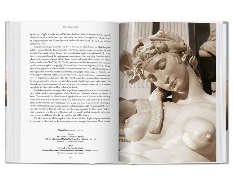 Книга Michelangelo: The Complete Works. PFA-38 фото