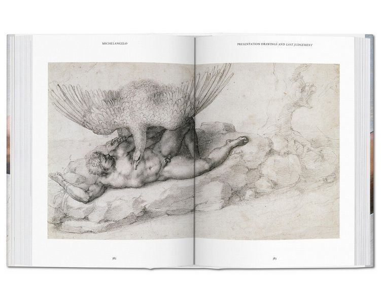 Книга Michelangelo: The Complete Works. PFA-38 фото