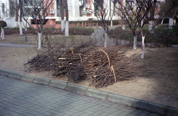 Фотоплівка кольорова Fujifilm REALA 500D 8592 FP-035 фото