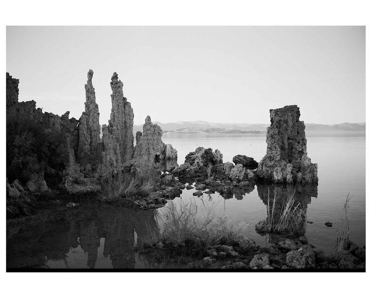 Черно-белая фотопленка Kodak Ektapan 100, 120 тип (Новинка 2026) - 11/2027 F-016 фото