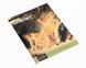 Книга L'Opera completa di Boucher. Збірка творів Франсуа Буше &laquo;Classici dell'Arte&raquo; Rizzoli RB-100 фото 1