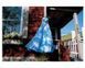 Книга Alex Webb and Rebecca Norris Webb: Memory City (signed). B-270 фото 3