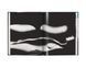 Фотоискусство книги с иллюстрациями Ralph Gibson: Nude книга альбом про искусство фотографии Ральфа Гибсона B-539 фото 2