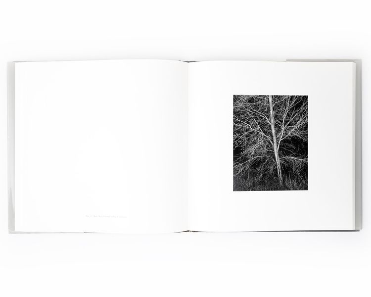 Подарункова книга для фотографів роботи Джона Секстона John Sexton "Recollections" пейзажна фотографія книги B-428 фото