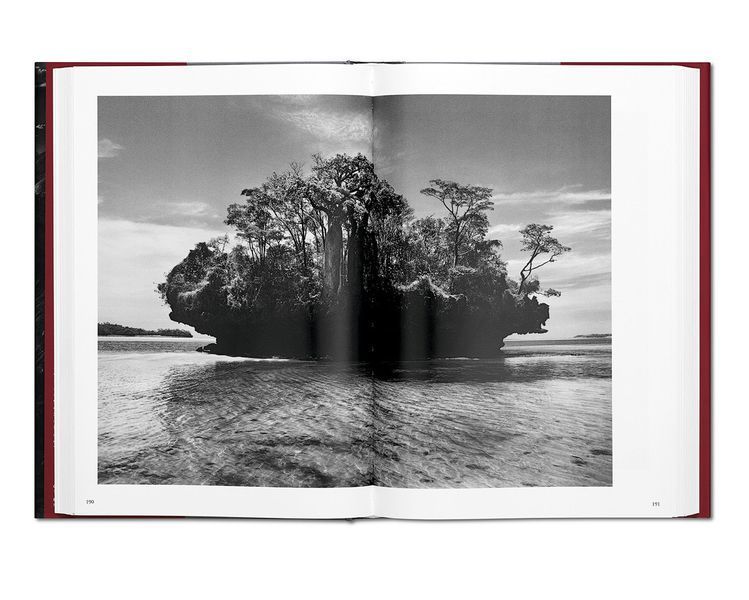 Подарункові книги для фотографів Sebastiao Salgado. Genesis альбоми відомих фотографів Себастьян Сальгадо B-030 фото
