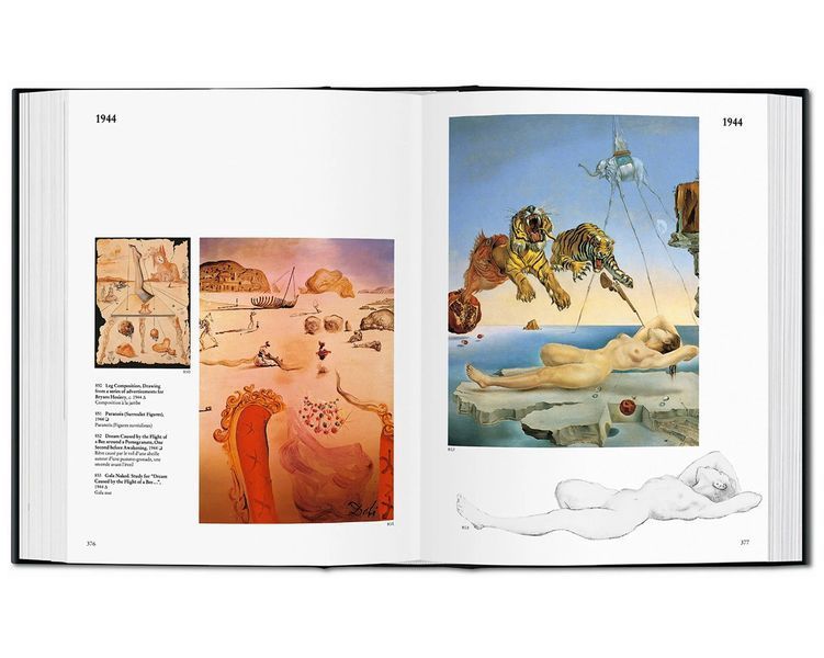 Книга Dal&iacute;: The Paintings PFA-42 фото