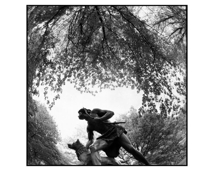 Книга альбом известных фотографов с фотографиями Брюса Дэвидсона Bruce Davidson "Central Park"&nbsp;Б/У B-431 фото