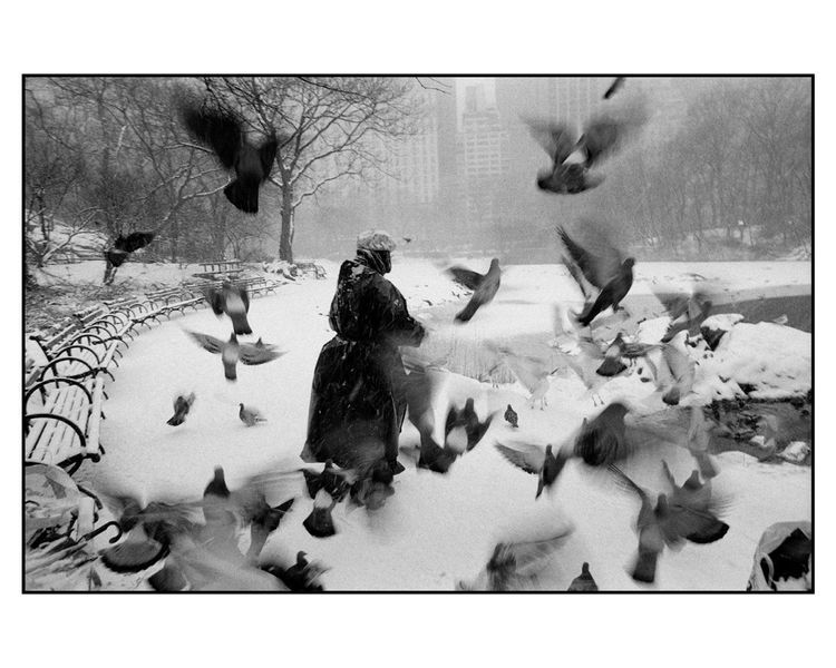 Книга альбом известных фотографов с фотографиями Брюса Дэвидсона Bruce Davidson "Central Park"&nbsp;Б/У B-431 фото