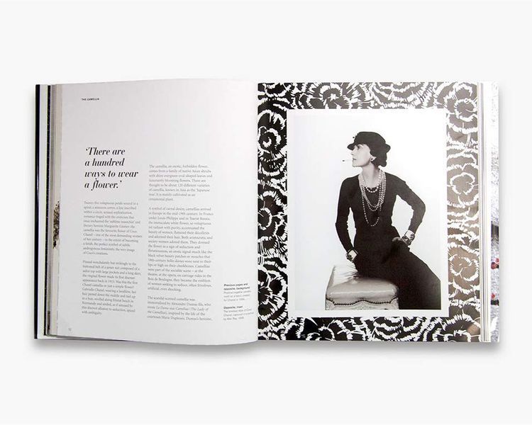 Книга про моду та стиль Chanel: Collections and Creations. Daniele Bott найкращі книги про дизайнери та модні будинки BF-082 фото