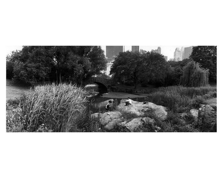 Книга альбом известных фотографов с фотографиями Брюса Дэвидсона Bruce Davidson "Central Park"&nbsp;Б/У B-431 фото