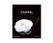 Книга про моду та стиль Chanel: Collections and Creations. Daniele Bott найкращі книги про дизайнери та модні будинки BF-082 фото 1