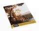 Книга L'Opera completa di Claude Lorrain. Збірка робіт Клод Лоррен &laquo;Classici dell&rsquo;Arte&raquo; Rizzoli RB-83 фото 1