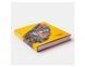 Книга Phaidon Editors: Bird, Exploring the Winged World B-393 фото 10