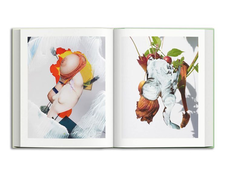 Книга Viviane Sassen & Emanuele Coccia: Modern Alchemy B-395 фото