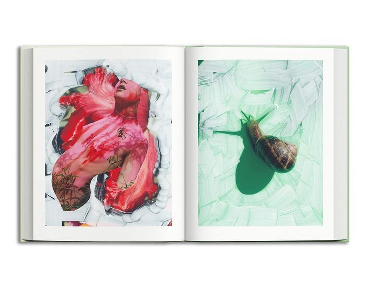 Книга Viviane Sassen & Emanuele Coccia: Modern Alchemy B-395 фото