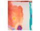 Helen Frankenthaler: Late Works, 1988&ndash;2009 &mdash; книга об искусстве. Хелен Франкенталер PFA-255 фото 1