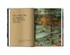 Шедевры мировой живописи книга Питер Брейгель Старший Bruegel: The Complete Paintings. Jurgen Muller PFA-06 фото 5